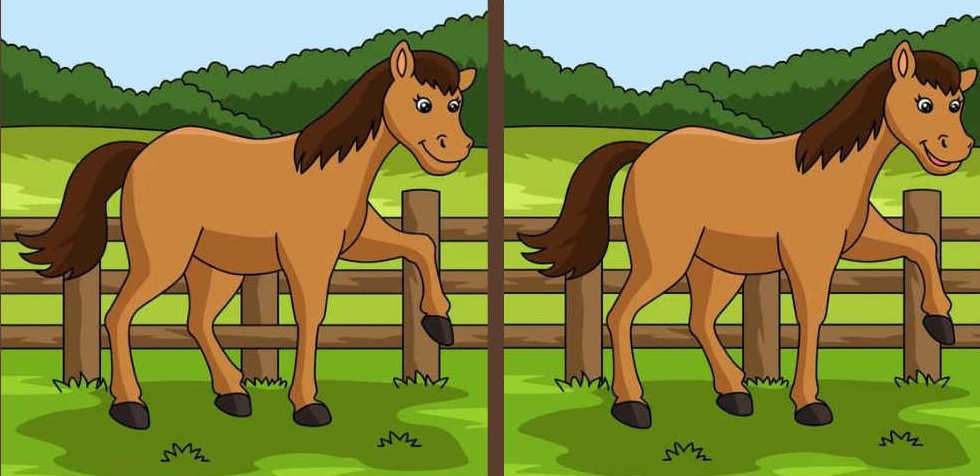 Spot 3 differences between horses